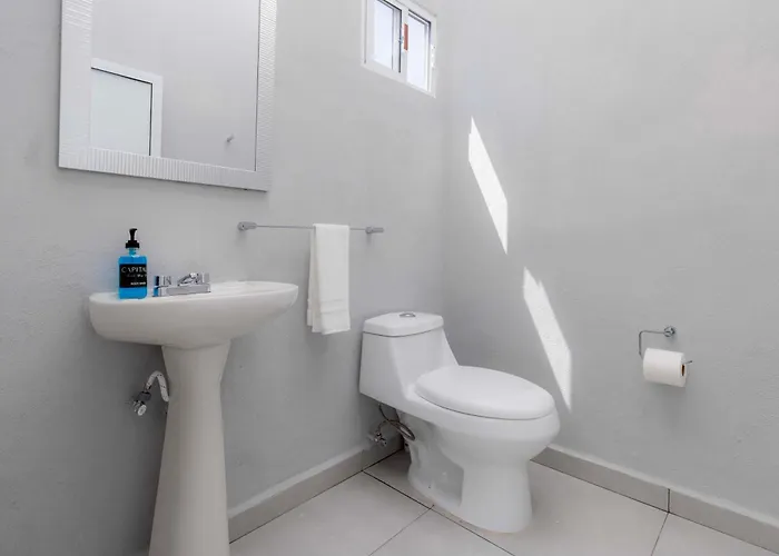 Apartment Capitalia Two Bedroom Retreat Near El Angel With Rooftop And Gym