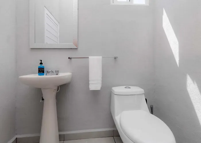 Capitalia Two Bedroom Retreat Near El Angel With Rooftop And Gym Apartment Mexico City
